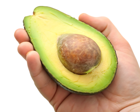 Ripe avocado half with seed held in hand isolated on a transparent background image