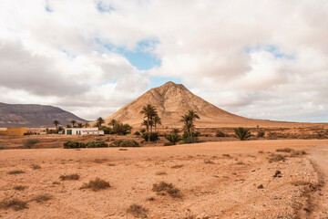 Oasis de palmeras frente a la Montaña de Tindaya, Fuerteventura