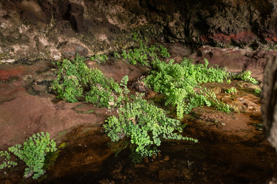 Fuente de Tababaire, manantial natural en el norte de Fuerteventura