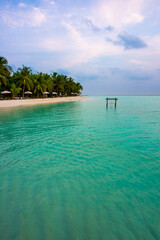 Fototapeta premium Tranquil closeup calm sea water waves with palm trees. Beautiful Panorama, Tropical island beach landscape exotic shore coast. Summer vacation, holiday amazing nature. Relax paradise, Maldives.