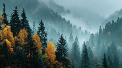 Tranquil autumn landscape with golden trees in morning mist and soft pastel light