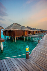 Tranquil closeup calm sea water waves with palm trees. Beautiful Panorama, Tropical island beach landscape exotic shore coast. Summer vacation, holiday amazing nature. Relax paradise, Maldives.