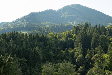 Obraz premium Beautiful Mountain Landscape with Green Woods