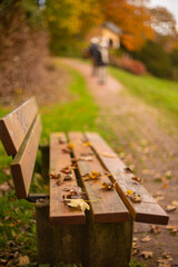 bench in the park