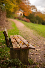 bench in the park