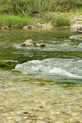 Scenic Mountain Stream with Clear Water and Rocky Banks