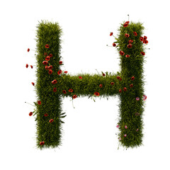 3D alphabetic grass and flower, Christmas wreath letter H uppercase