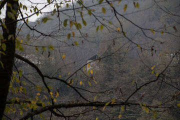 Landscape with beautiful fog in forest on hill or Trail through a mysterious winter forest with autumn leaves on the ground. Road through a winter forest. Magical atmosphere. Azerbaijan nature