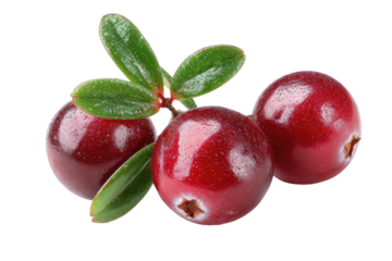Close-up of three fresh cranberries, vibrant red, with green leaves