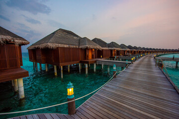 Tranquil closeup calm sea water waves with palm trees. Beautiful Panorama, Tropical island beach landscape exotic shore coast. Summer vacation, holiday amazing nature. Relax paradise, Maldives.