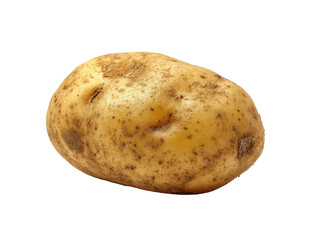 Close-up of a single potato, light beige with brown spots, oval shape, on a black background
