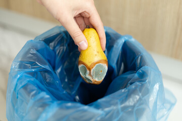 Throwing spoiled pear with mold into blue trash bag
