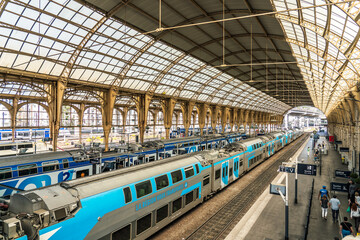 Nice, France. Train station interior showcasing multiple blue and silver trains parked under a grand arched glass roof, highlighting architectural beauty and urban transportation