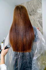 close-up of a client's sleek, long, chestnut-colored hair at a salon, viewed from behind