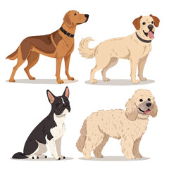 Different Dog Breeds Illustration – Collection of Cute Domestic Pets in Various Poses