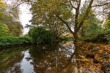 Water stream in a park during autumn