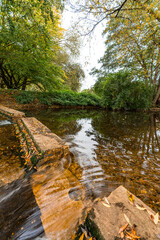 Water stream in a park during autumn