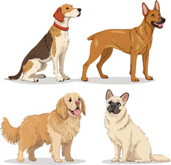 Set of Realistic Dog Breeds in Sitting and Standing Poses