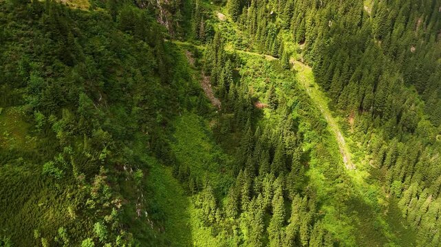 Beautiful greenery covering the huge mountains. Drone flight over the Transfagarash highway in the Carpathian Mountains, Romania.