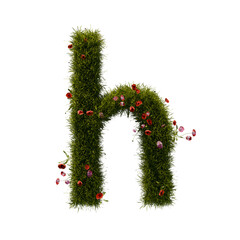 3D alphabetic grass and flower, Christmas wreath letter h lowercase