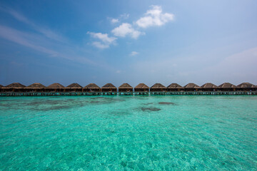 Tranquil closeup calm sea water waves with palm trees. Beautiful Panorama, Tropical island beach landscape exotic shore coast. Summer vacation, holiday amazing nature. Relax paradise, Maldives.