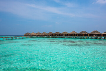 Tranquil closeup calm sea water waves with palm trees. Beautiful Panorama, Tropical island beach landscape exotic shore coast. Summer vacation, holiday amazing nature. Relax paradise, Maldives.