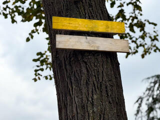 Wooden sign boards attached to tree. Simplicity, handmade design, and natural navigation symbol