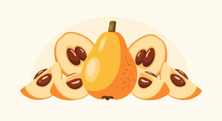 Fresh Loquat Illustration Featuring Whole Fruit And Sliced Pieces Arrangement