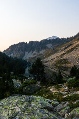Laquettes Lakes with calm waters surrounded by pine trees