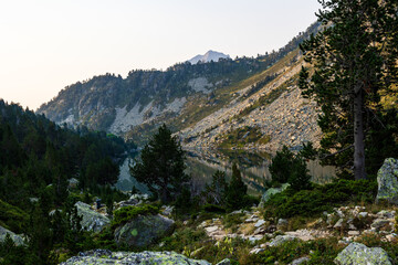 Laquettes Lakes with calm waters surrounded by pine trees