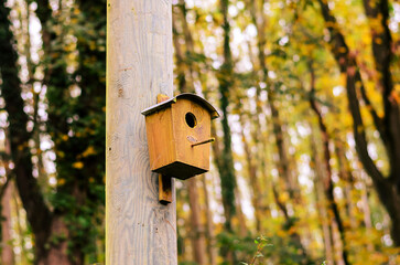 Wooden birdhouse on a pole in a vibrant autumn forest setting