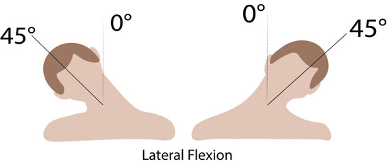 Cervical Spine Range of Motion – Lateral Flexion Movement Illustration | Neck Anatomy Diagram