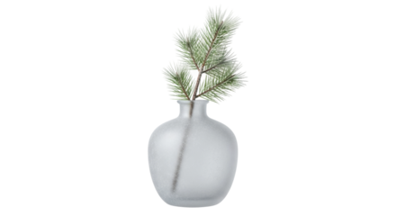 Frosted glass vase with pine branch for minimalist winter decor