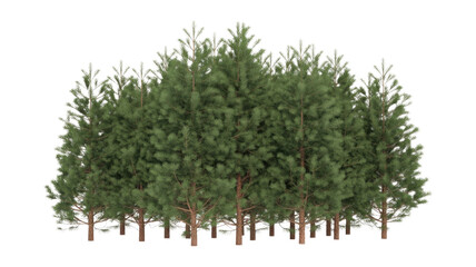 Fototapeta premium A vibrant cluster of green pine trees with a crisp white outline, digitally rendered on a solid dark transparent background. background removed