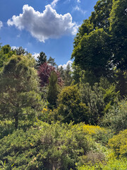 Diverse Forest Garden with Colorful Trees Under Dramatic Cloudy Sky