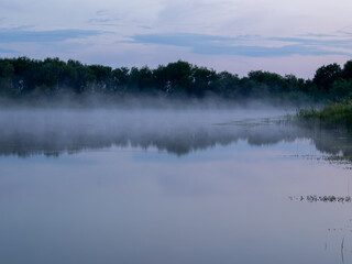Fototapeta premium Misty lake at dusk or dawn with calm water and soft blue light. Gentle fog rising above the surface creates a peaceful and tranquil atmosphere in nature.