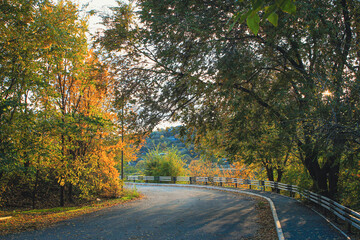 A turn in the road in the autumn forest