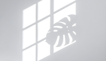 Sunlight casting a serene shadow of a window and Monstera leaf on a clean white wall