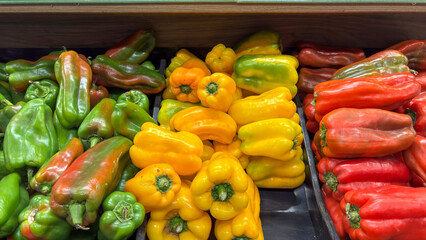 Green, yellow, and red bell peppers (Capsicum annuum) displayed in bulk. Fresh vegetables on sale at a market or fair, separated by a dark divider.