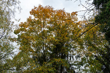 Silence doré au cœur de Strasbourg