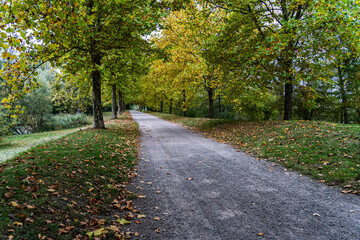 La promenade aux feuilles tombées- au parc à Strasbourg France