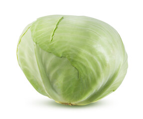 Cabbage isolated on white background