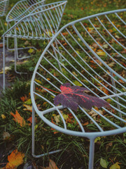 park bench, autumn, fall season, leaf, leaves, fallen leaves, yellow leaves, orange leaves, autumn mood, nature, outdoors, peaceful, tranquility, wooden bench, park scenery, seasonal background, folia