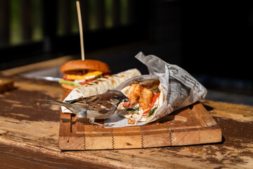 Sparrow Eating Street Food Wrap on Wooden Table