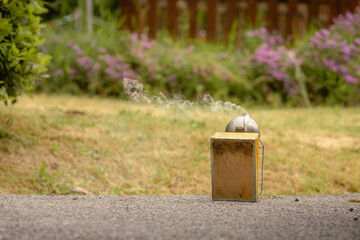 Smoke rising from beekeeping smoker near hives
