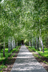 Obraz premium The elegant St. Nicholas Church of Ukrainian Orthodox Church in Dykanka, Ukraine, stands as a symbol of faith and architectural beauty amid the serene countryside.