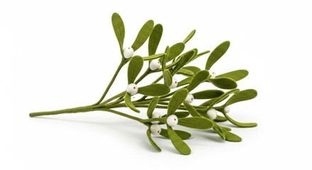 Felt Christmas Mistletoe photo on a solid white background, holiday graphic, Craft