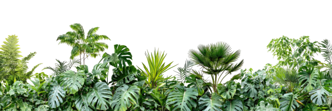 Lush tropical foliage border (8)