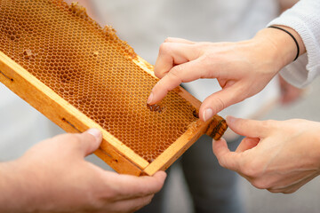 Close-up of beekeeper fingers with honey