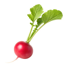  radishs isolated on transparent background png